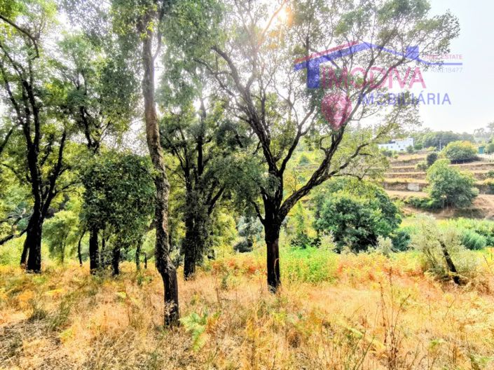 Image No.13-Maison de 2 chambres à vendre à Figueiró dos Vinhos