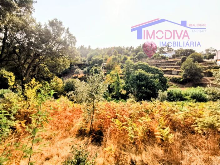 Image No.14-Maison de 2 chambres à vendre à Figueiró dos Vinhos