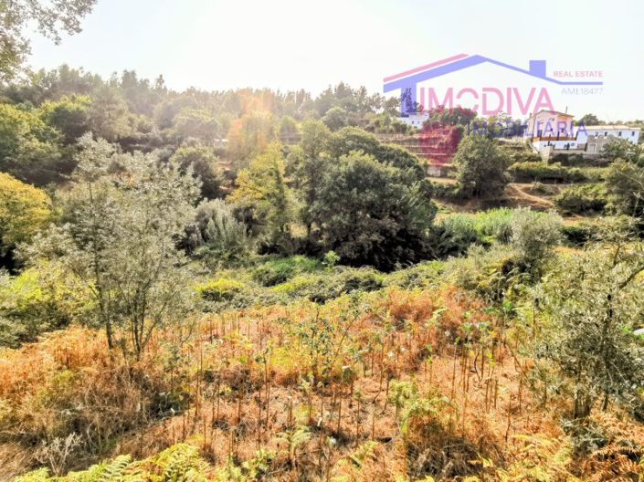 Image No.16-Maison de 2 chambres à vendre à Figueiró dos Vinhos