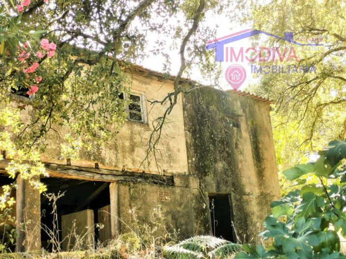 Image No.4-Maison de 2 chambres à vendre à Figueiró dos Vinhos