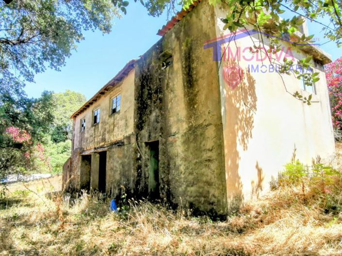Image No.3-Maison de 2 chambres à vendre à Figueiró dos Vinhos