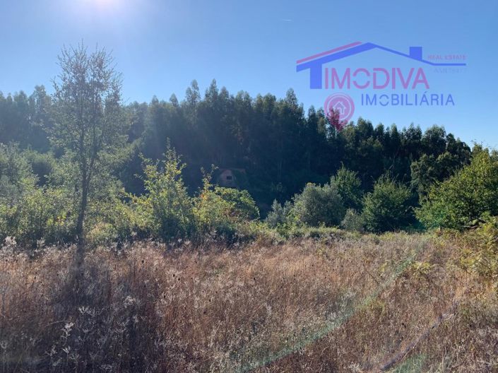 Image No.11-Ferme à vendre à Pedrógão Grande