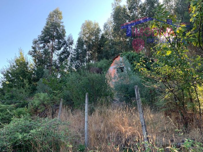 Image No.13-Ferme à vendre à Pedrógão Grande