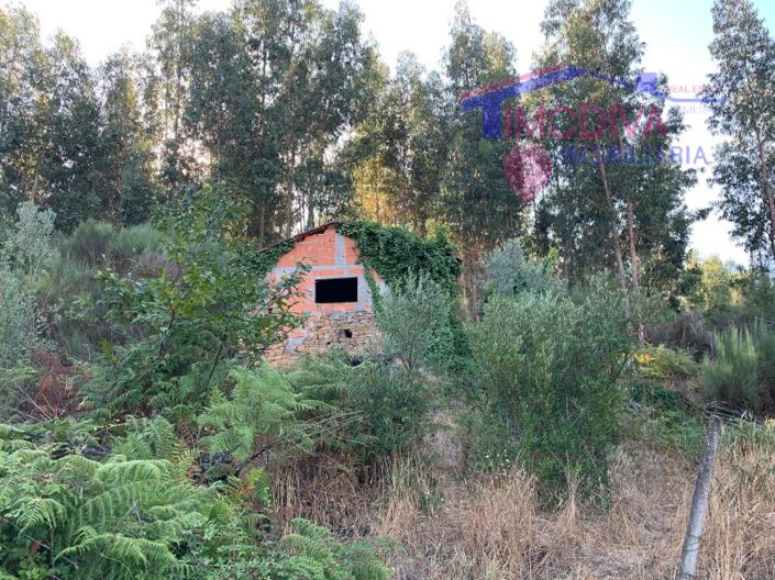 Image No.16-Ferme à vendre à Pedrógão Grande