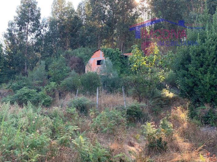 Image No.6-Ferme à vendre à Pedrógão Grande