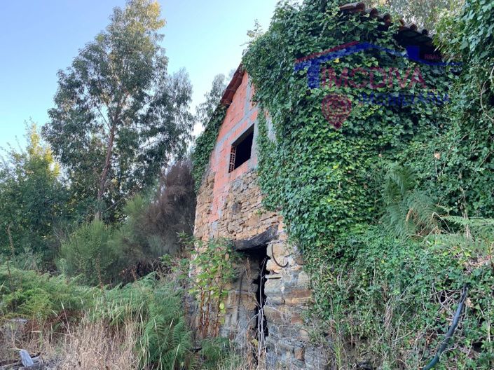 Image No.3-Ferme à vendre à Pedrógão Grande