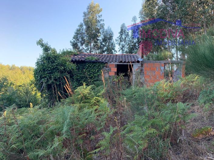 Image No.7-Ferme à vendre à Pedrógão Grande