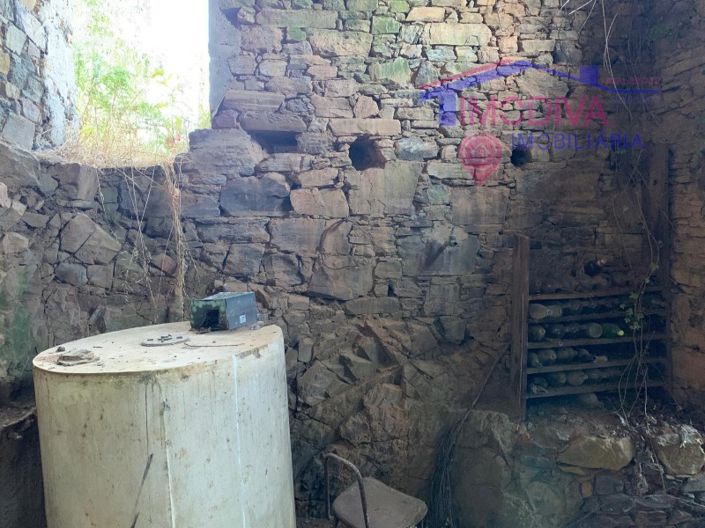 Image No.9-Ferme à vendre à Pedrógão Grande