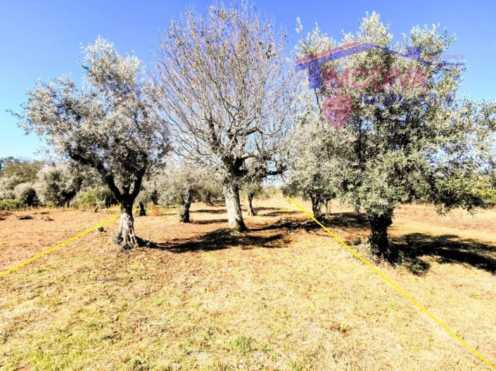 Image No.22-4 Bed House for sale