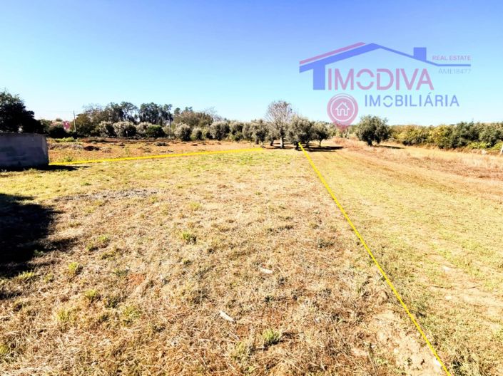 Image No.23-4 Bed House for sale