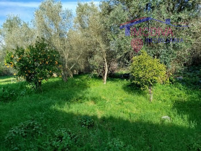 Image No.32-Maison de 2 chambres à vendre à Constância