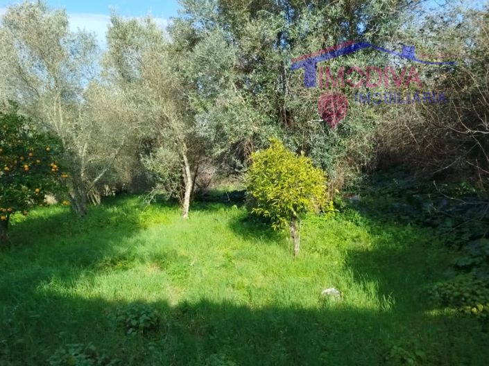 Image No.33-Maison de 2 chambres à vendre à Constância