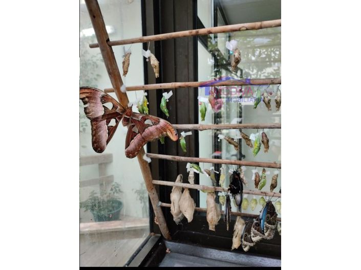 Image No.37-Maison de 2 chambres à vendre à Constância