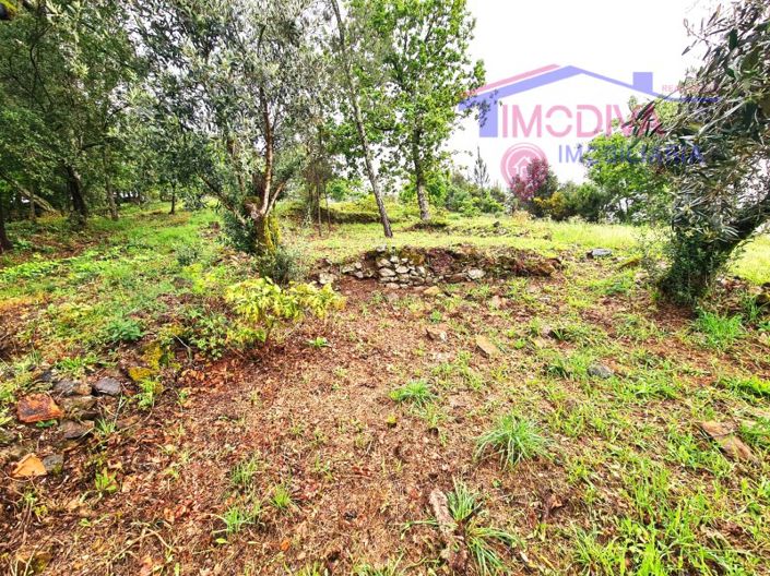 Image No.51-Maison de 3 chambres à vendre à Castanheira de Pêra