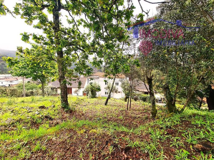 Image No.53-Maison de 3 chambres à vendre à Castanheira de Pêra