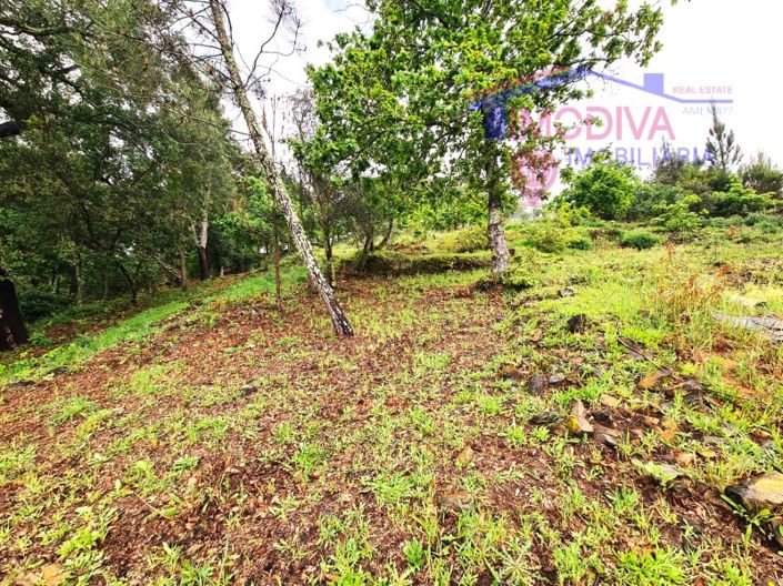 Image No.54-Maison de 3 chambres à vendre à Castanheira de Pêra