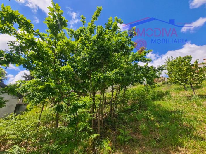 Image No.14-Maison de 1 chambre à vendre à Castanheira de Pêra