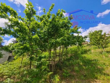 id44389b01-0000-0500-0000-00001590e933