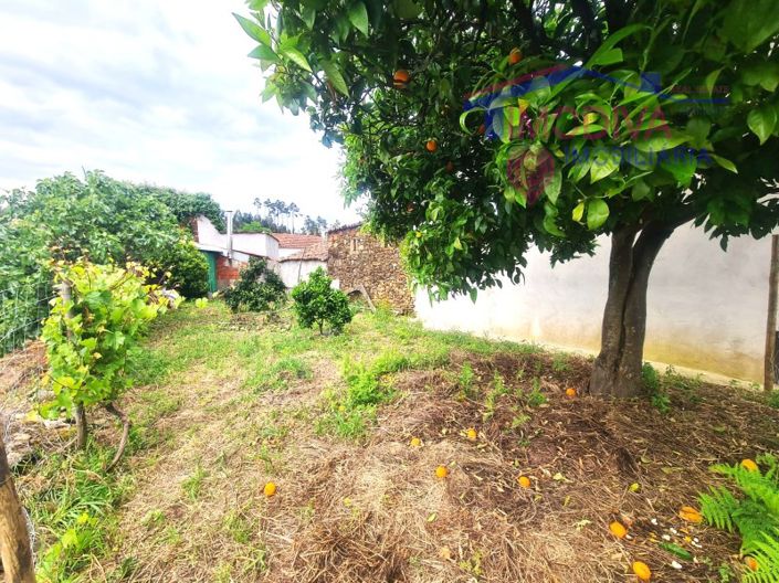 Image No.18-Propriété à vendre à Pedrógão Grande