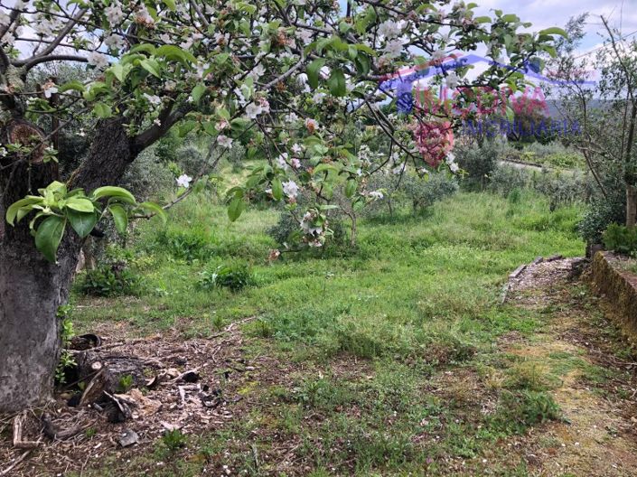 Image No.30-2 Bed House for sale