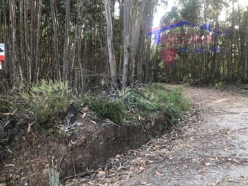 idb5e6a001-0000-0500-0000-000016009a69