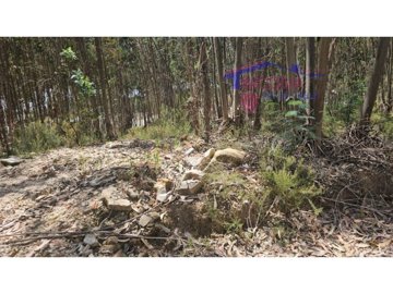 idb5e6a001-0000-0500-0000-000016009a6a