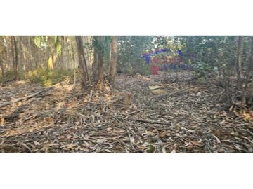 idb5e6a001-0000-0500-0000-000016009a6b