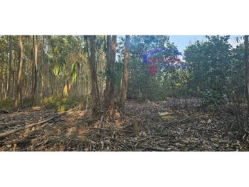 idb5e6a001-0000-0500-0000-000016009a6c