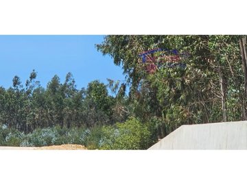 idb5e6a001-0000-0500-0000-000016009a6d