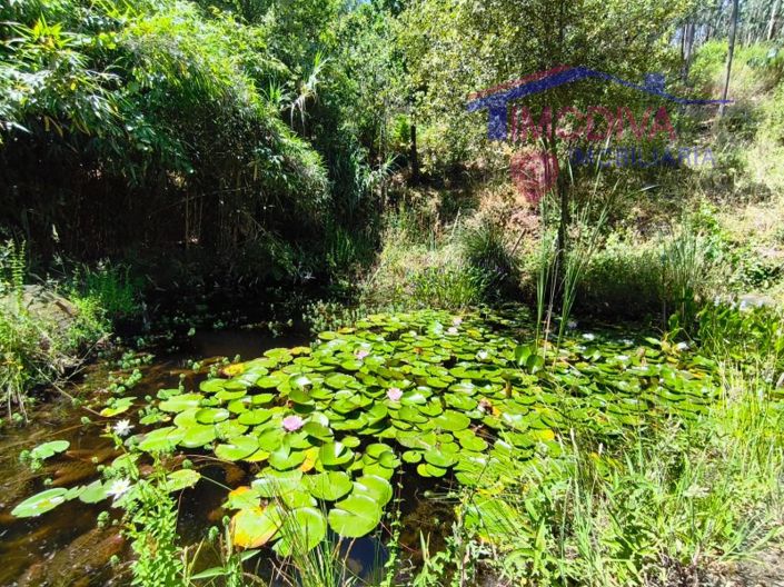 Image No.14-Maison de 3 chambres à vendre à Figueiró dos Vinhos