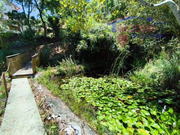 idb342a201-0000-0500-0000-0000161c16c6