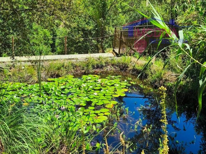 Image No.16-Maison de 3 chambres à vendre à Figueiró dos Vinhos
