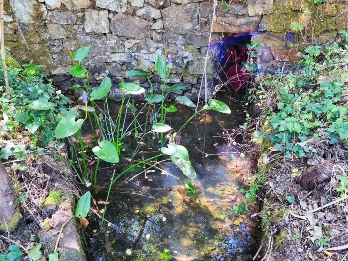 Image No.17-Maison de 3 chambres à vendre à Figueiró dos Vinhos