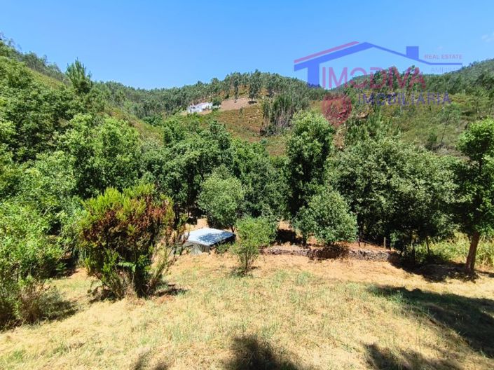 Image No.10-Maison de 3 chambres à vendre à Figueiró dos Vinhos