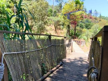 idb342a201-0000-0500-0000-0000161c16c2