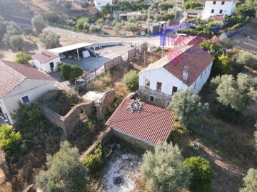 id0412a701-0000-0500-0000-0000169561b1