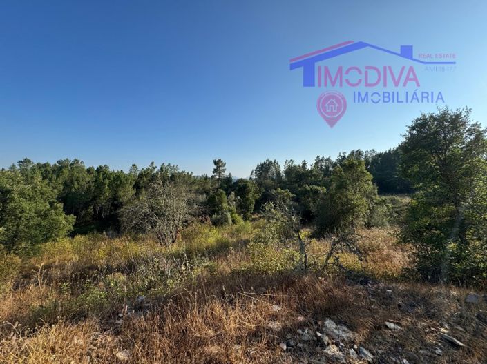 Image No.18-Maison de 4 chambres à vendre à Sertã