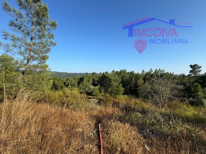 Image No.19-Maison de 4 chambres à vendre à Sertã