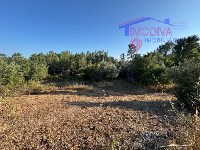 Image No.20-Maison de 4 chambres à vendre à Sertã