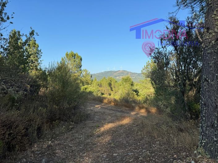 Image No.21-Maison de 4 chambres à vendre à Sertã