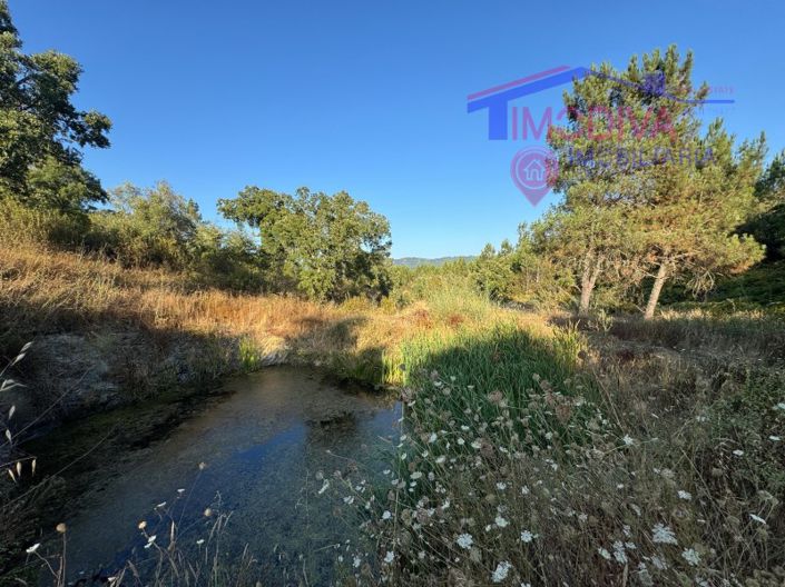 Image No.24-Maison de 4 chambres à vendre à Sertã