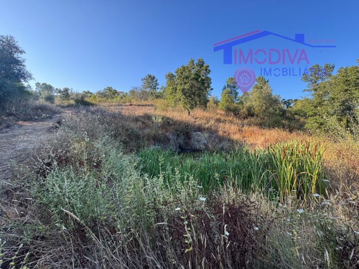 Image No.25-Maison de 4 chambres à vendre à Sertã