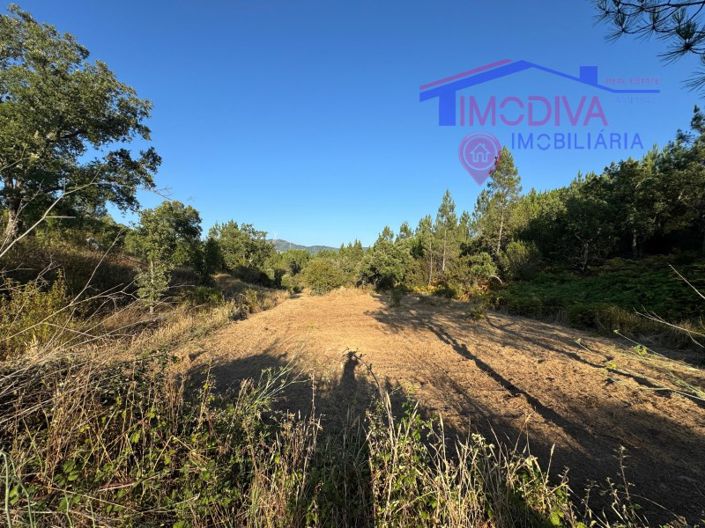 Image No.26-Maison de 4 chambres à vendre à Sertã