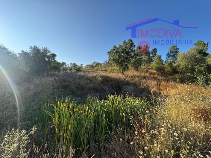 Image No.27-Maison de 4 chambres à vendre à Sertã