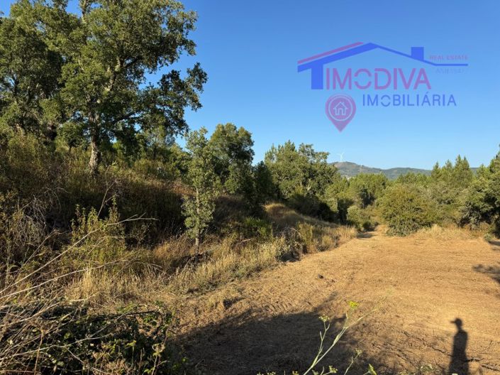 Image No.28-Maison de 4 chambres à vendre à Sertã