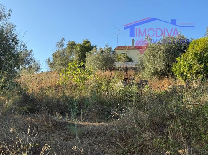 Image No.29-Maison de 4 chambres à vendre à Sertã