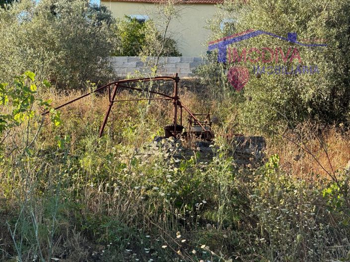 Image No.30-Maison de 4 chambres à vendre à Sertã