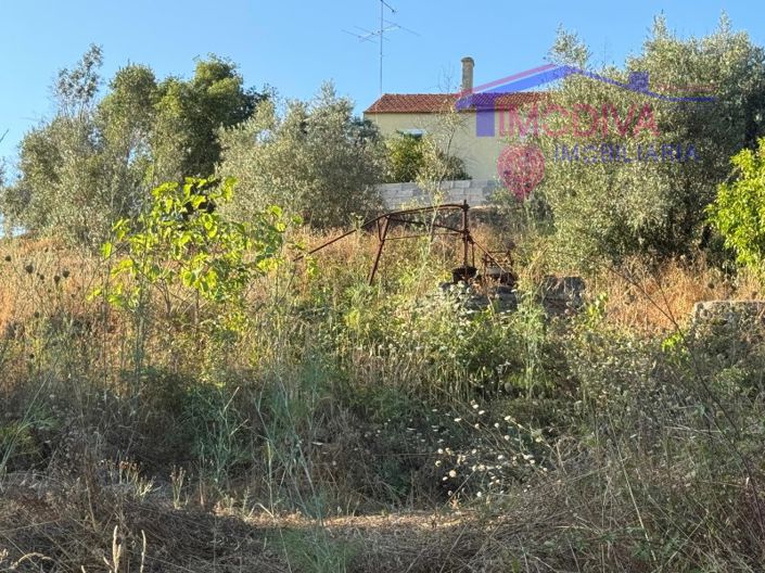 Image No.31-Maison de 4 chambres à vendre à Sertã