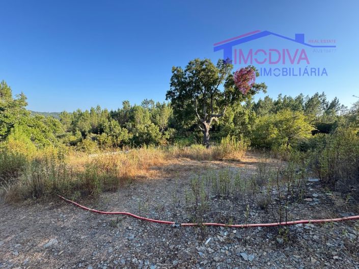 Image No.32-Maison de 4 chambres à vendre à Sertã