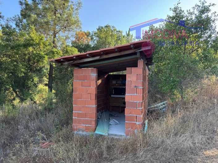 Image No.33-Maison de 4 chambres à vendre à Sertã